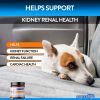 Renal Support Chews 9.5 oz jar